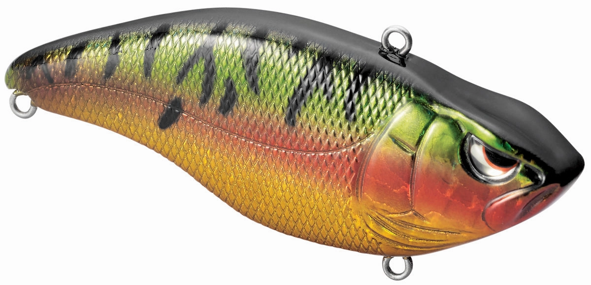 Aruku Shad 60
