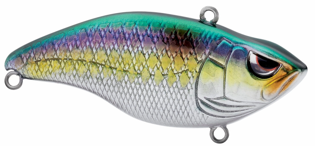 ARUKU SHAD 85