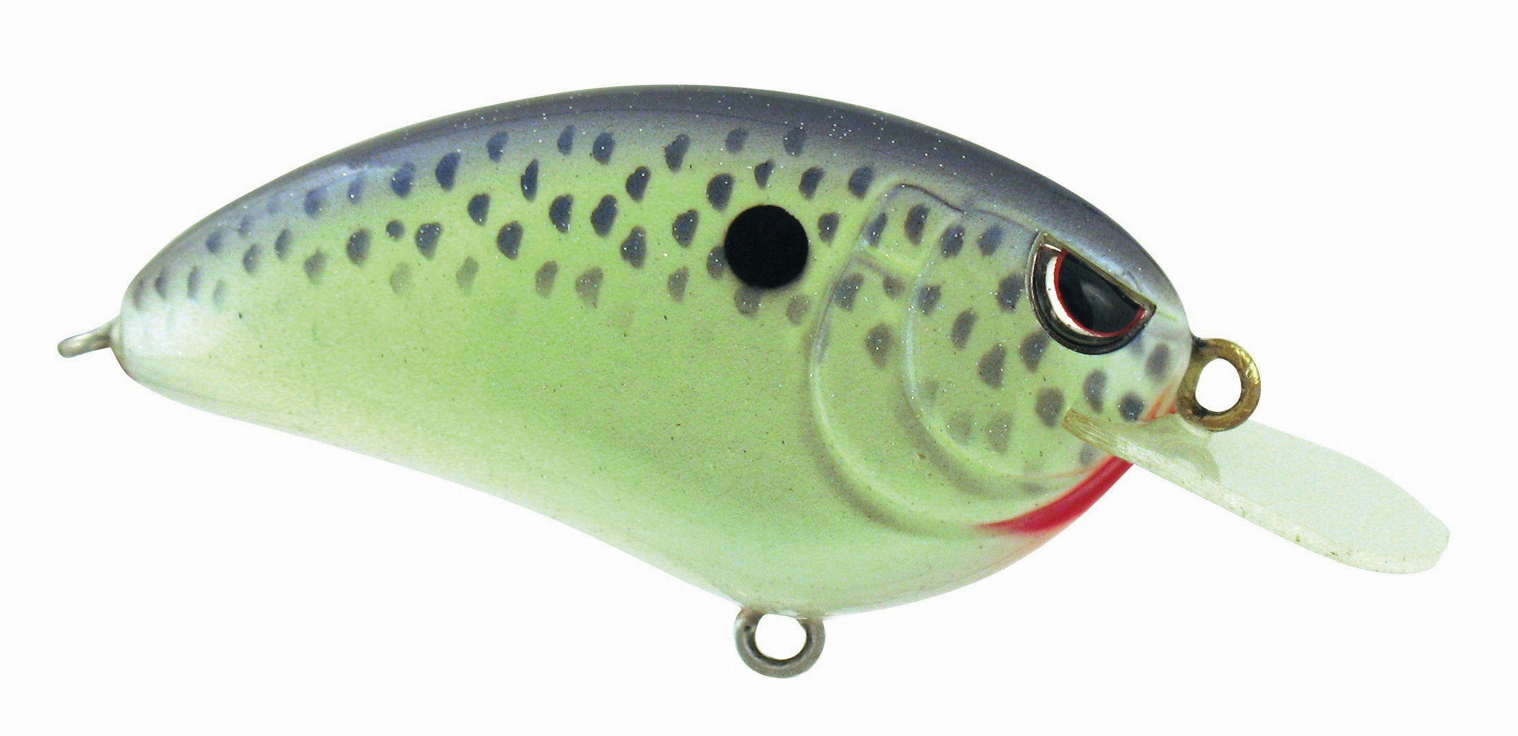 LITTLE JOHN 50