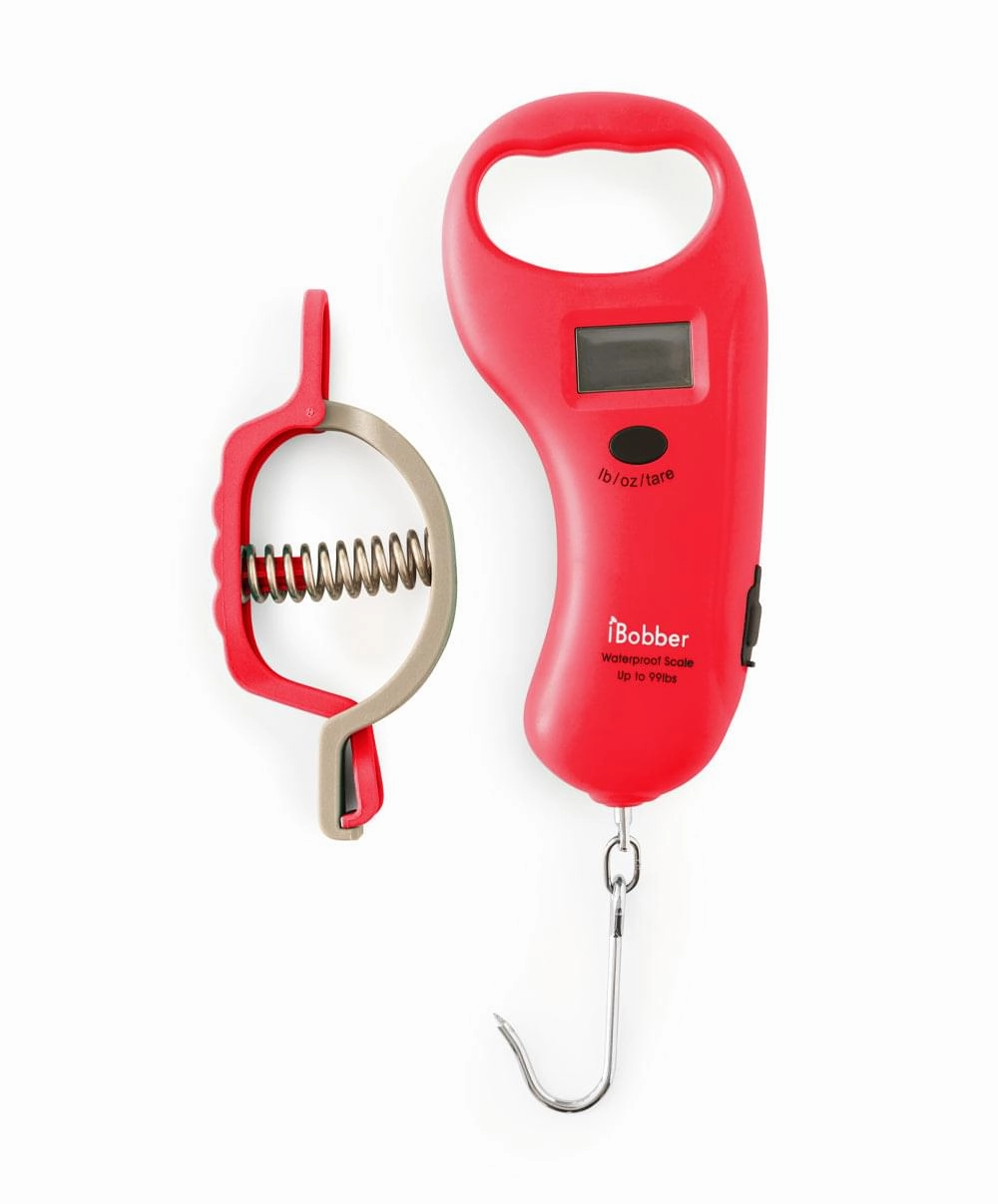 Waterproof Digital Scale